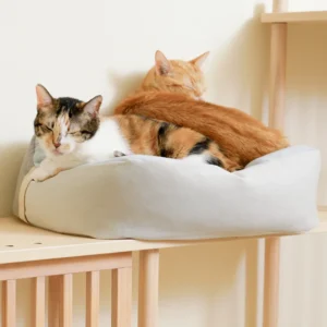 LADY FLAVOR 好味小姐 | Cat Bed Dog Bed Pet Bed Bean Bag Sofa