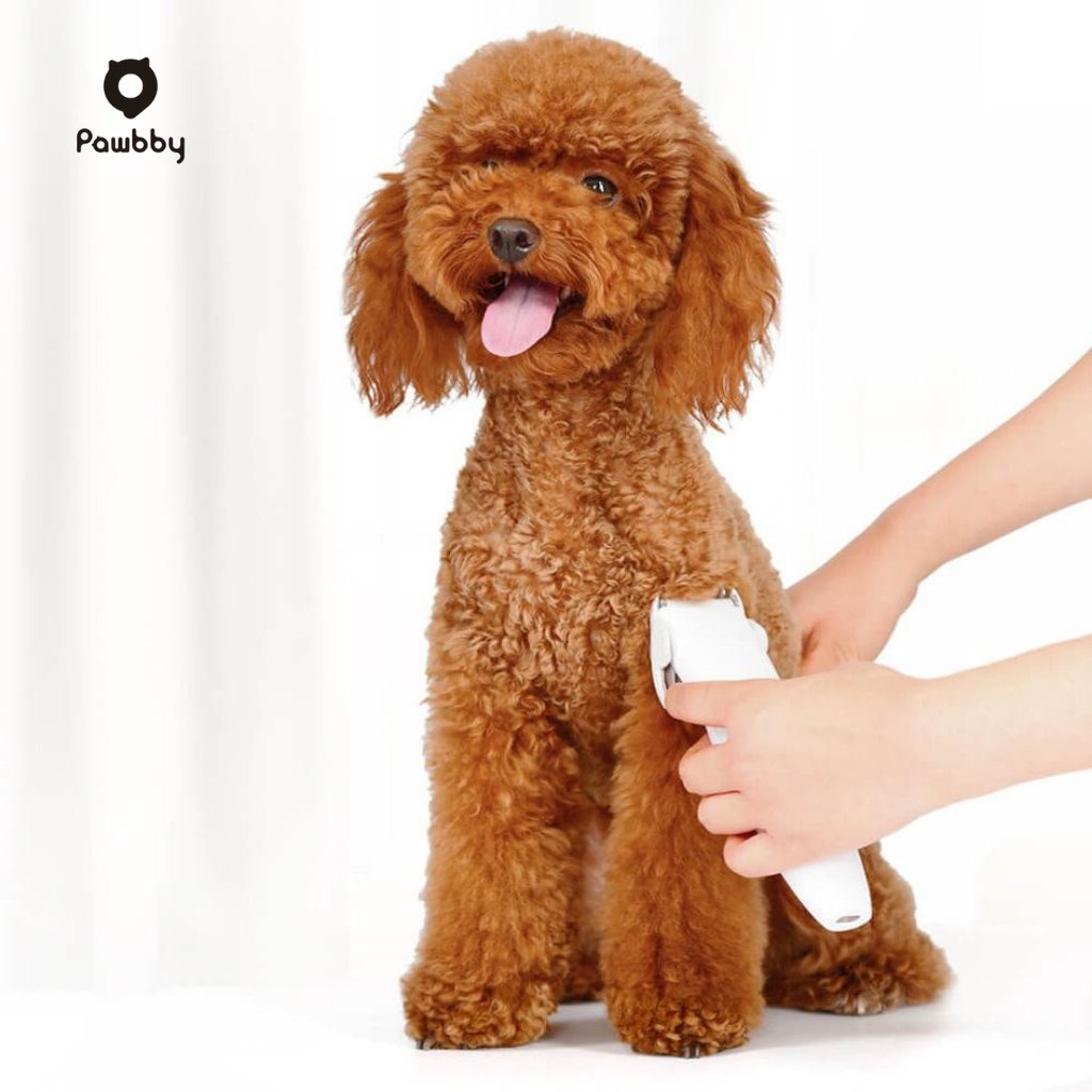 PAWBBY Wireless Pet Hair Clipper for Dogs & Cats - Image 5