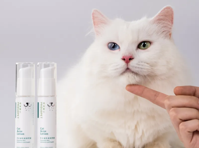 Pet grooming and care