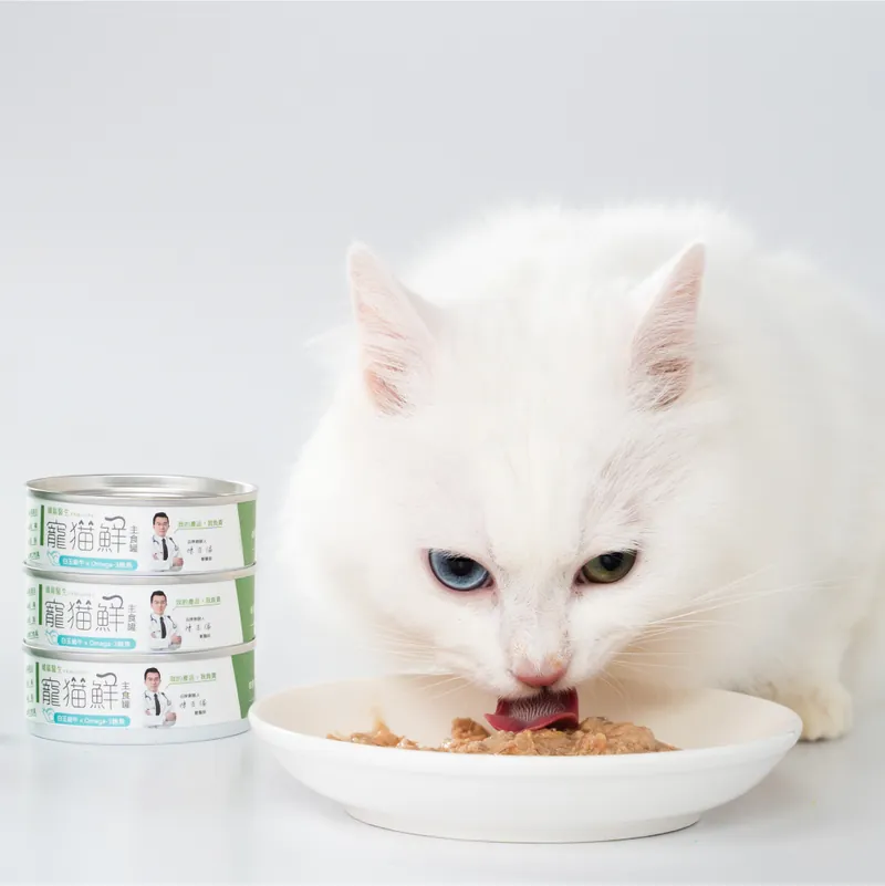 Cat food guide