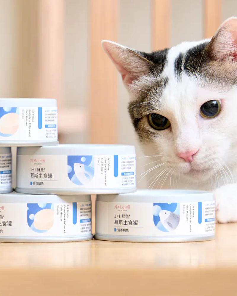 Cat food selection