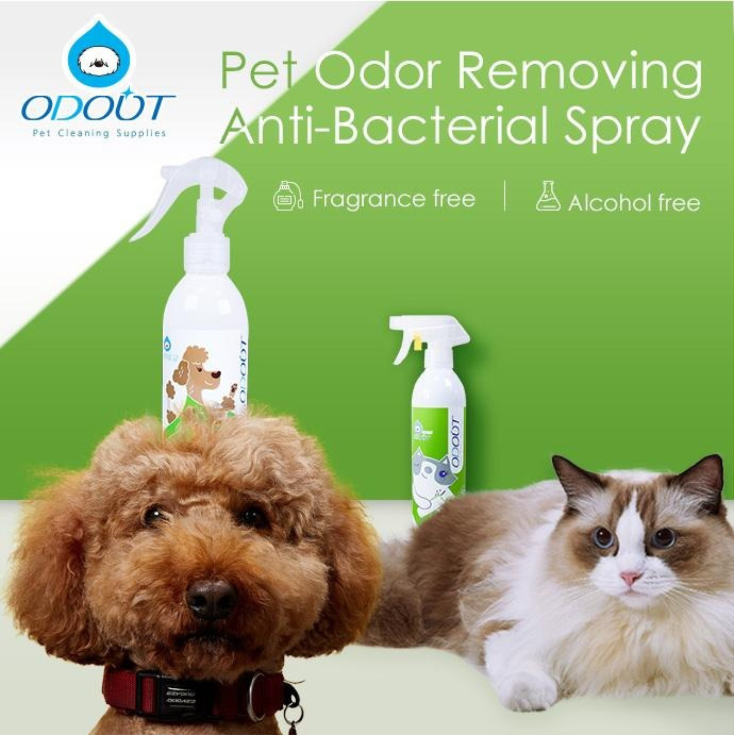 ODOUT Spray Cat